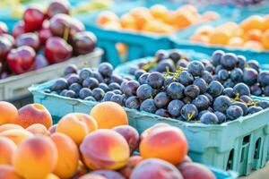 kleurrijk rangschikking van vers fruit Bij boer markt, barsten met smaken van de zomer oogst foto