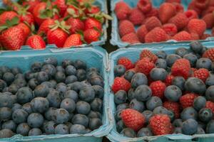 kleurrijk rangschikking van vers fruit Bij boer markt, barsten met smaken van de zomer oogst foto