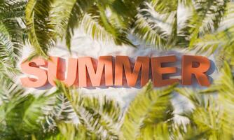 zomer tekst Aan zanderig strand grond met palm bladeren in de omgeving van foto