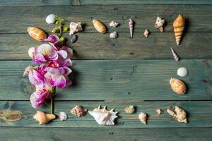 verscheidenheid van zee schelpen en orhid bloemen Aan een houten achtergrond foto