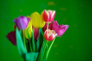 bloeiende tulpen in een vaas. kleurrijk bloemen foto