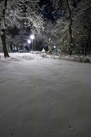 winter stad park foto