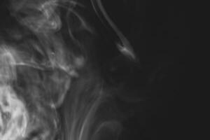 wit rook geïsoleerd Aan zwart achtergrond foto