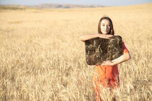 jong vrouw in de tarwe veld, Holding spiegel glas waar weerspiegeld de droog gras. meditatie, mentaal Gezondheid concept. kopiëren ruimte. foto