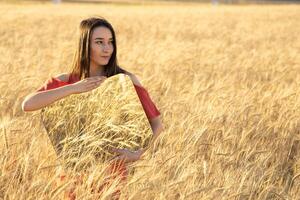 glimlachen jong vrouw in de tarwe veld, Holding spiegel glas waar weerspiegeld de droog tarwe. meditatie, mentaal Gezondheid concept. kopiëren ruimte. foto