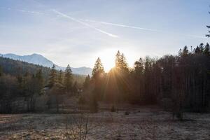 mooi landschap foto in de bossen genomen gedurende de gouden uur