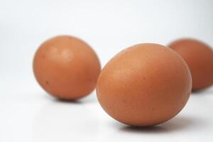 sommige kip eieren zijn Aan een wit achtergrond foto