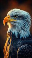 Amerikaans kaal adelaar in natuur foto