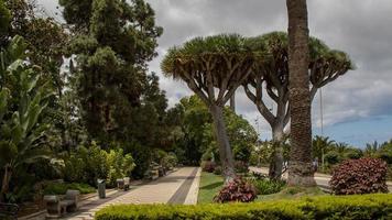 canarische eilanden, gran canaria, spanje foto