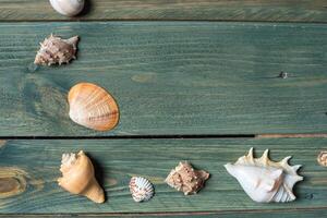 verscheidenheid van zee schelpen Aan een houten achtergrond foto