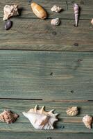 verscheidenheid van zee schelpen Aan een houten achtergrond foto