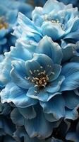 blauw tulp bloeiend bloem romantisch achtergrond vegetatie foto