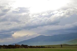 assy vallei, Almaty regio foto