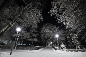 winter stad park foto