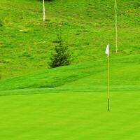 spel in de golf club tegen de achtergrond van de groen sappig gras foto