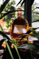 elegant whisky fles met blanco etiket temidden van groen foto