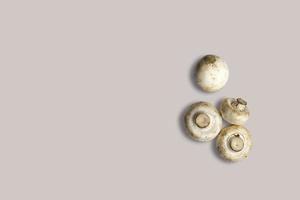 top-up weergave verse champignons geïsoleerd op een grijze achtergrond. geschikt voor uw ontwerpproject. foto