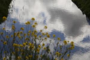 reflectie in de kanaal, nederland foto