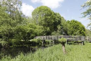 kanaal met brug in de nederland, lente, foto