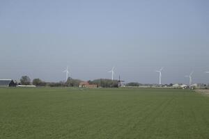 Nederlands landschap in noorden Holland foto