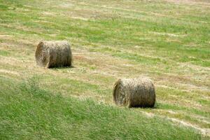 sommige hooi balen met groen achtergrond. foto