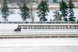 ras paard met jockeys Aan de huis Rechtdoor. scheren effect. foto