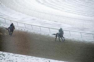 ras paard met jockeys Aan de huis Rechtdoor. scheren effect. foto