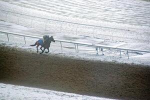 ras paard met jockeys Aan de huis Rechtdoor. scheren effect. foto