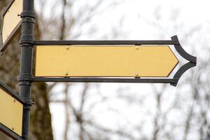 clusters van verwend verrot druiven hangen Aan een struik in de buurt een roestig hek in herfst foto