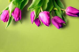 vers bloem samenstelling, boeket van bi kleur tulpen foto