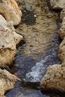 stroom met water, park el palmeraal, alicante, Spanje foto