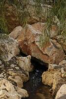 stroom met water, park el palmeraal, alicante, Spanje foto