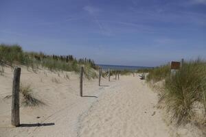 pad in de duinen Leidt naar de strand, noorden zee, nederland, camperduin foto