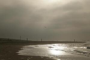 hoog tij lijn Aan de strand, scheiding tussen zee en strand foto