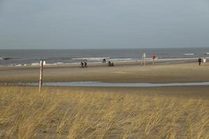 mensen wandelen, strand in de winter, Nederland foto