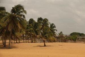 strand Bij groots pop, Benin foto