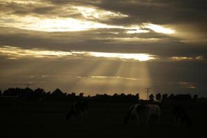 zonsondergang in de nederland, wolken, kleuren foto