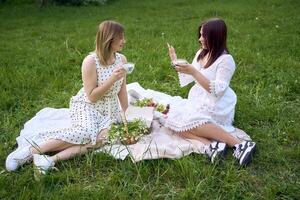 een moeder en haar tiener- dochter Aan een picknick in de tuin foto
