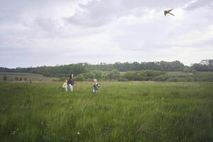 twee weinig zussen en moeder rennen en lancering een vlieger in een veld- foto