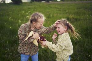 zussen strijd over- een speelgoed- konijn foto