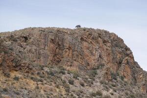 berg landschap in de almanzora vallei, Spanje foto