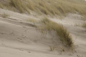 duinen met zand drift foto