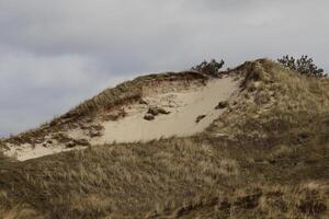 duinen en strand Bij Vlieland, eiland in de Nederland foto