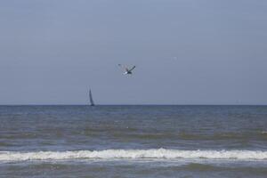 zeilboot Aan de noorden zee, gezien van de kust foto