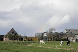 Nederlands landschap, Nederland foto