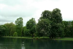 meer in park, groen bomen foto