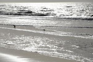 laag getij, strand in de winter, Nederland foto