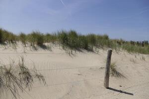 pad in de duinen Leidt naar de strand, noorden zee, nederland, camperduin foto