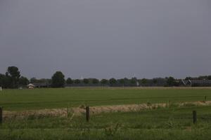 landschap in de Nederland in juni foto