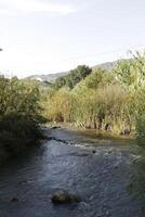 natuur van las Meliza's, Malaga, Spanje foto